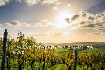 2016年汤沟酒业的哪款酒获得了2015年度江苏市场十大高端商务酒