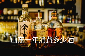 山东一年消费多少酒