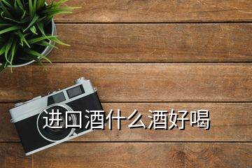 进口酒什么酒好喝