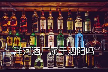 洋河酒厂属于泗阳吗