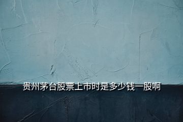 贵州茅台股票上市时是多少钱一股啊