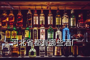 河北省都有哪些酒厂