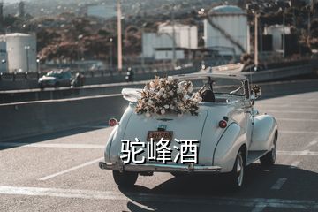 驼峰酒