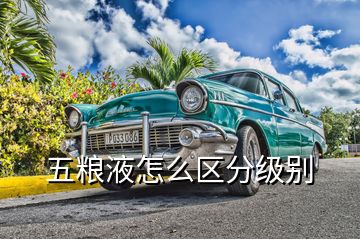 五粮液怎么区分级别
