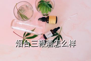 烟台三鞭酒怎么样