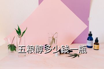 五粮醇多少钱一瓶