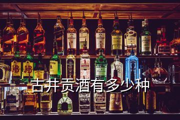 古井贡酒有多少种