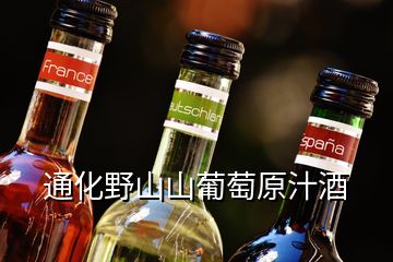 通化野山山葡萄原汁酒