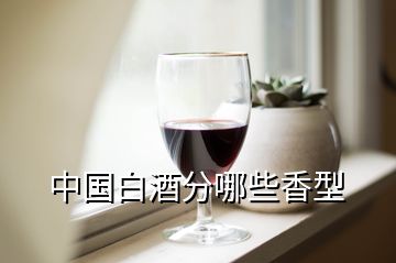 中国白酒分哪些香型