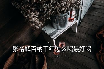 张裕解百纳干红怎么喝最好喝