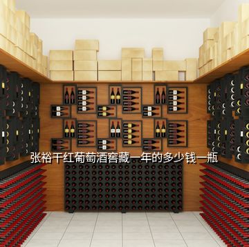 张裕干红葡萄酒窖藏一年的多少钱一瓶
