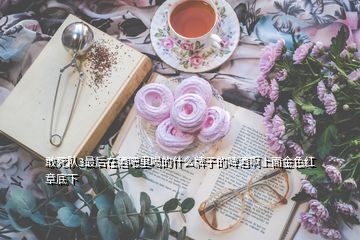 敢死队3最后在酒吧里喝的什么牌子的啤酒啊上面金色红章底下