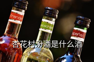 杏花村汾酒是什么酒
