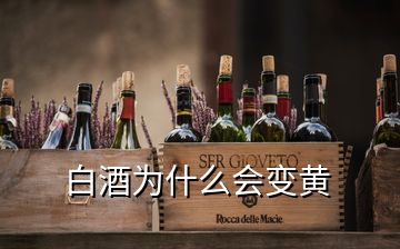 白酒为什么会变黄