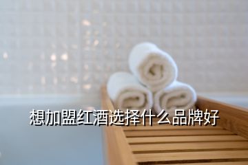 想加盟红酒选择什么品牌好