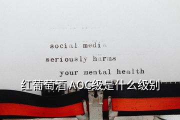 红葡萄酒 AOC级是什么级别