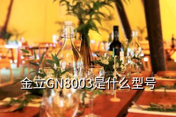 金立GN8003是什么型号