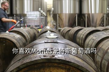 你喜欢Montes蒙特斯葡萄酒吗