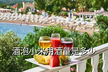 酒泡小米用酒量是多少
