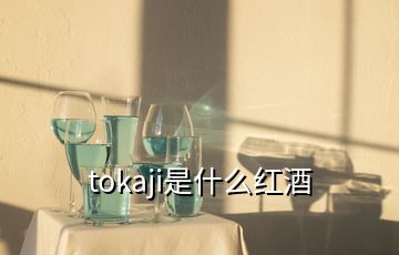 tokaji是什么红酒