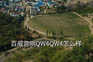 百威音响QW4QW4怎么样