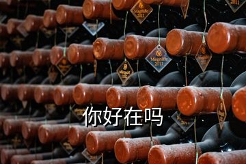 你好在吗