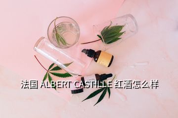 法国 ALBERT CASTILLE 红酒怎么样