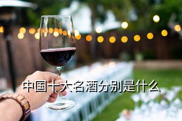 中国十大名酒分别是什么