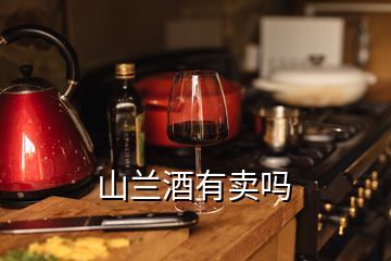 山兰酒有卖吗