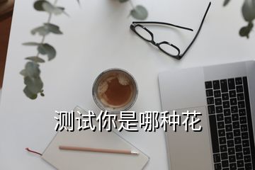 测试你是哪种花