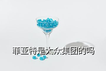 菲亚特是大众集团的吗