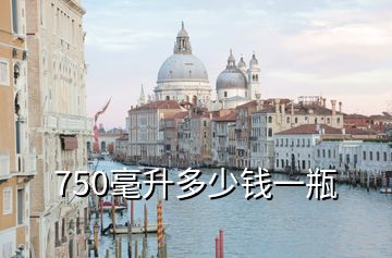 750毫升多少钱一瓶