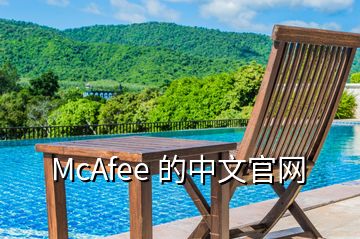 McAfee 的中文官网