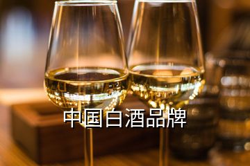 中国白酒品牌