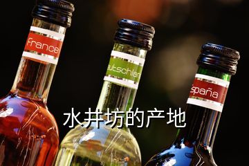 水井坊的产地