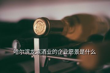 哈尔滨龙滨酒业的企业愿景是什么