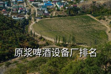 原浆啤酒设备厂排名
