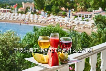 宁波洪塘工业区727号是什么公司啊