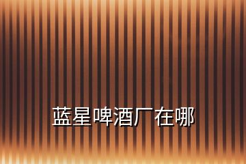 蓝星啤酒厂在哪