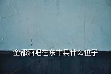 金都酒吧在东丰县什么位子