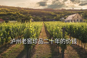 泸州老窖珍品二十年的价钱