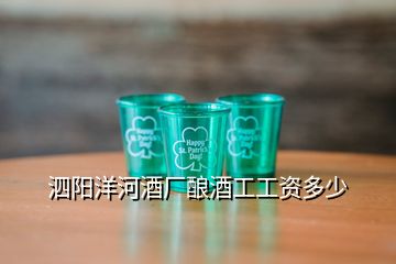 泗阳洋河酒厂酿酒工工资多少