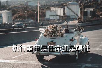 执行董事是任命还是聘任