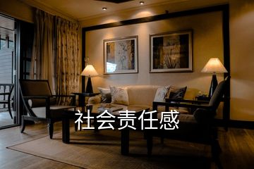 社会责任感