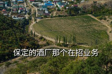 保定的酒厂那个在招业务