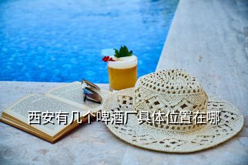 西安有几个啤酒厂具体位置在哪