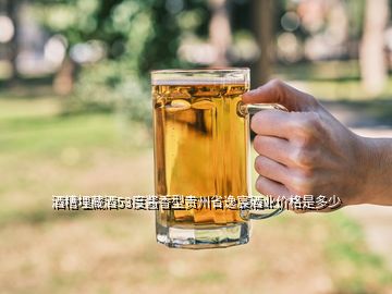 酒糟埋藏酒53度酱香型贵州省逸宸酒业价格是多少