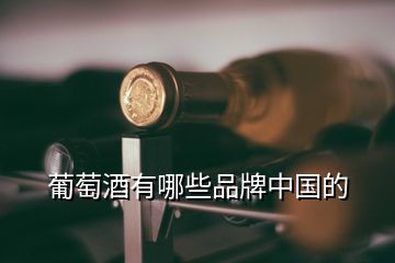 葡萄酒有哪些品牌中国的