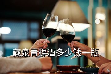 藏泉青稞酒多少钱一瓶