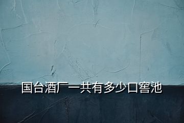 国台酒厂一共有多少口窖池